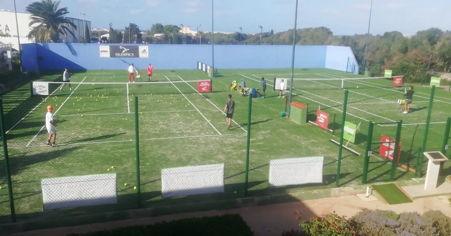 2 pistas · Hierba artificial